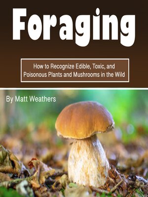 cover image of Foraging